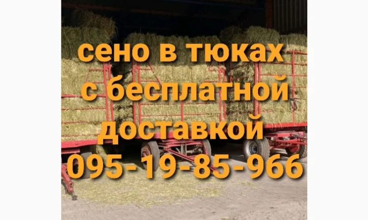В продаже сено в тюках (луговое, люцерна, солома). Доставка. Нал, б/н - фото № 3