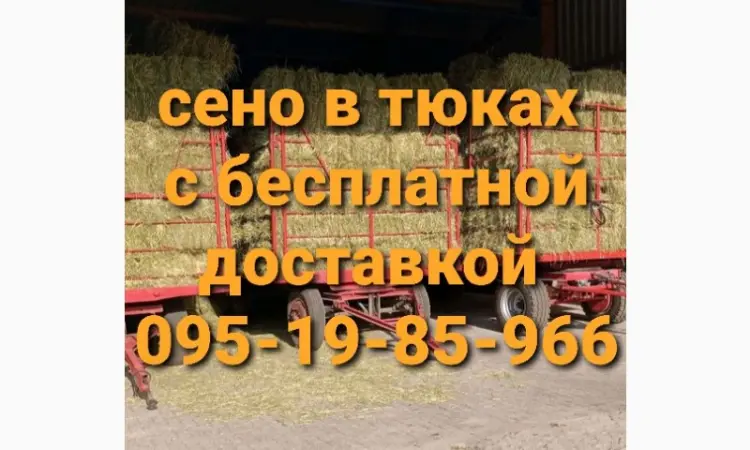 В продажу сіно в тюках (лугове, люцерна, солома). Доставка. Нал, б/н - фото № 3