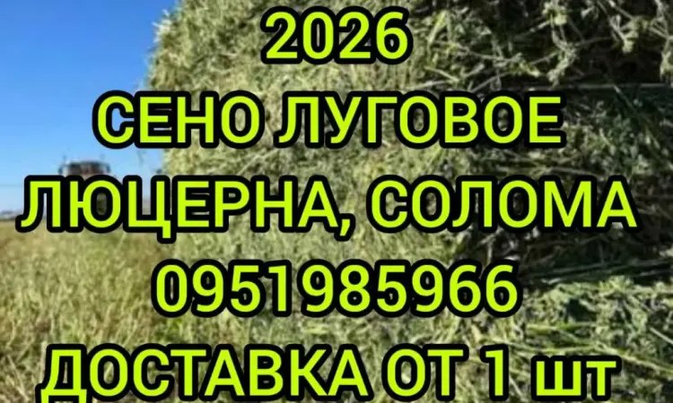 В продажу сіно в тюках (лугове, люцерна, солома). Доставка. Нал, б/н - фото № 1
