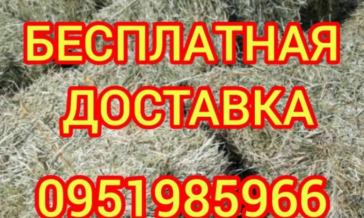 Сено в тюках мешках (лугове, різнотрав'я, пирій, люцерна), солома із зернових. Доставка - фото № 1