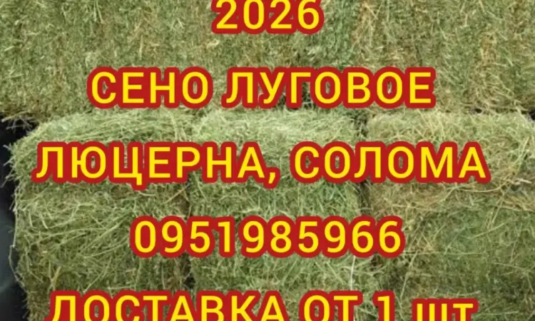 Сено в тюках мешках (лугове, різнотрав'я, пирій, люцерна), солома із зернових. Доставка - фото № 1