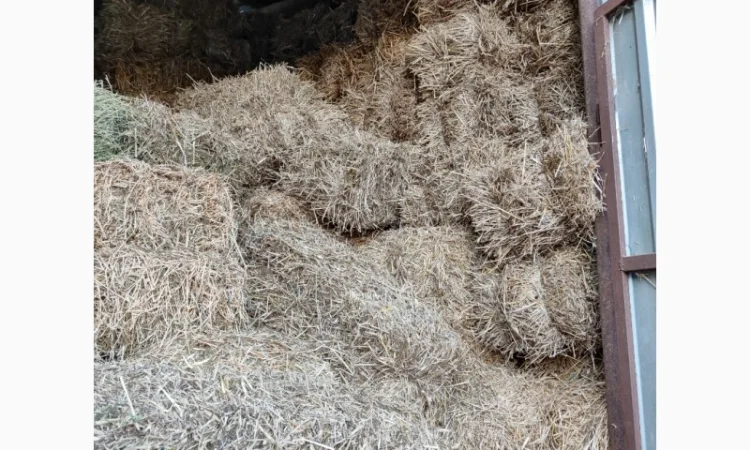 Сіно і тюках - фото № 1