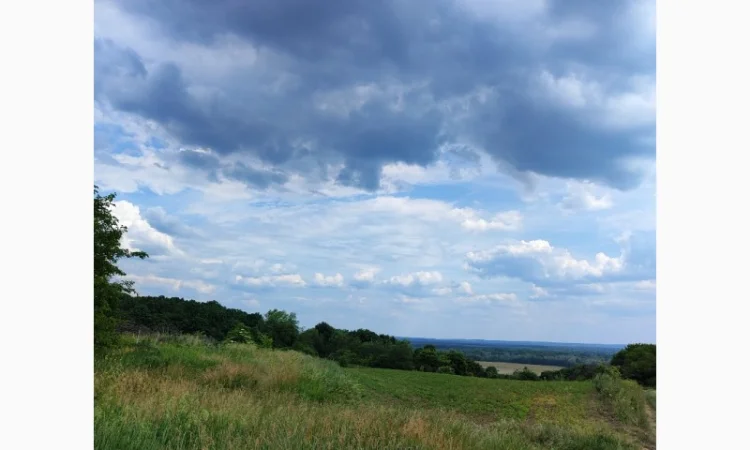 Продам сіно із люцерни, гарне - фото № 1