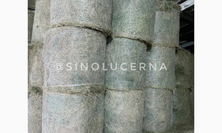 Продам сіно люцерни в круглих тюках - фото № 5