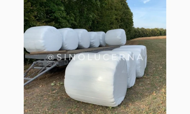 Продам сінаж з люцерни в круглих тюках - фото № 1