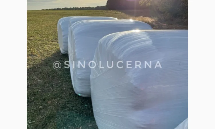 Продам сінаж з люцерни в круглих тюках - фото № 2