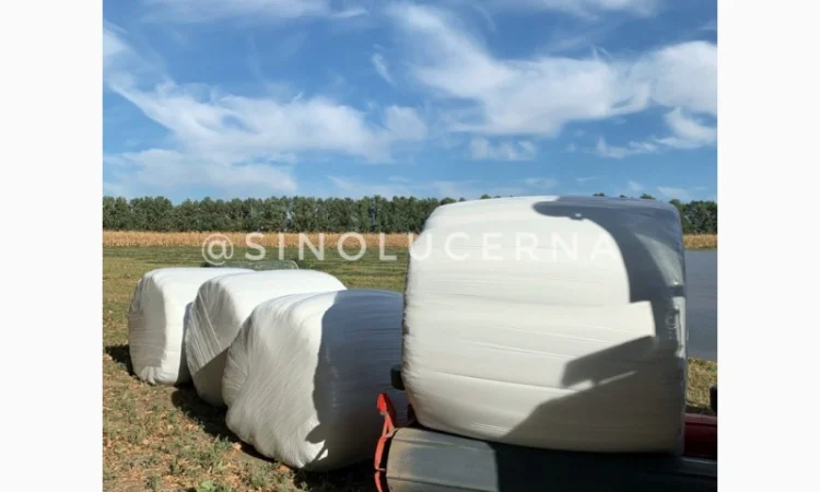 Продам сінаж з люцерни в круглих тюках - фото № 6