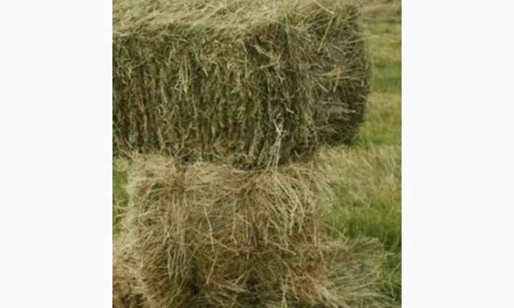 Сено луговое - фото № 1