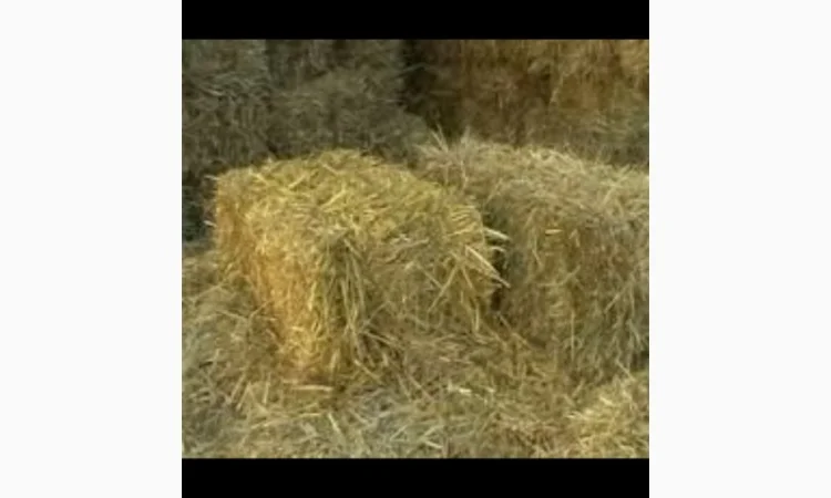 Сено луговое - фото № 2
