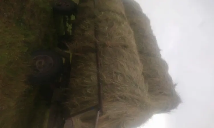Продам сіно з доставкой - фото № 2