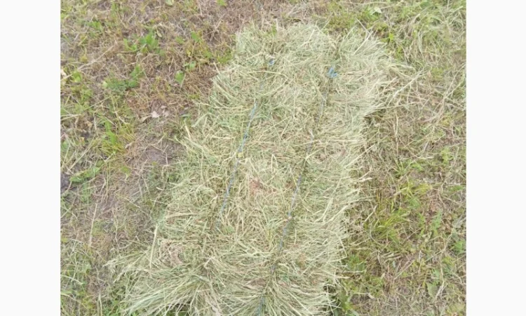 Сіно різнотрав'я, люцерна в квадратних тюках та рулонах - фото № 1