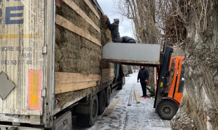 Продам луговое сено в квадратных тюках, с бесплатной доставкой - фото № 1