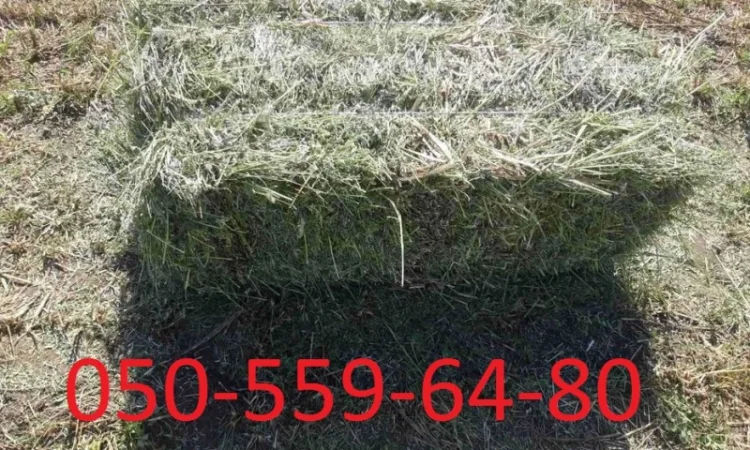 Продается эспарцет, Краматорськ - фото № 1