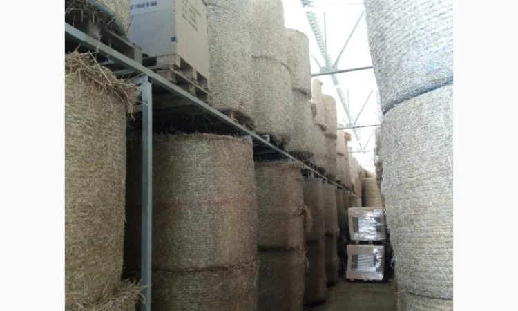 Продам суху солому у циліндричних тюках - фото № 2