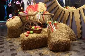 Доставка пшеничной Соломы в тюках по Запорожью - фото № 2