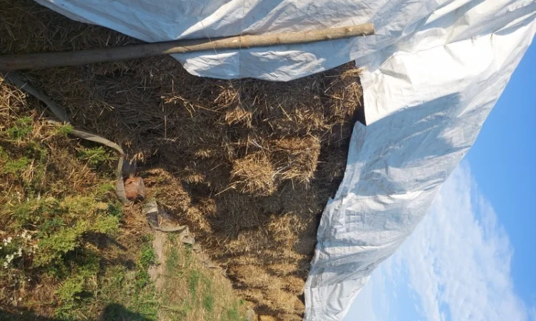 Продам солому в тюках - фото № 1