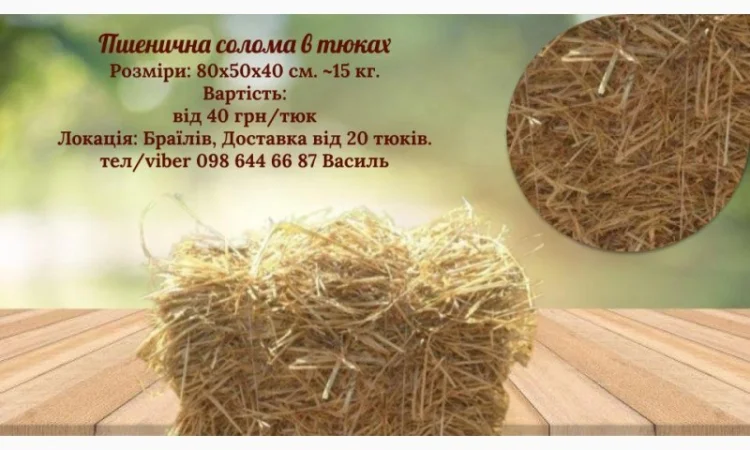 Тюки соломи пшеничної врожаю 2024 року - фото № 1