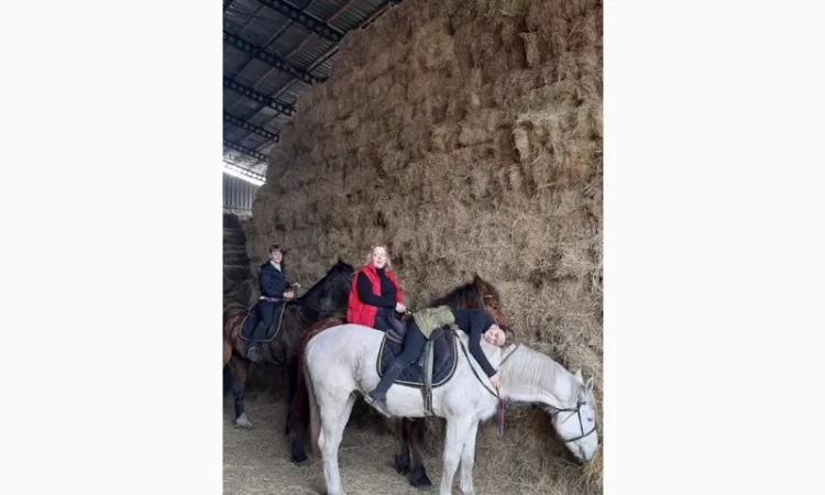 Продам солому - фото № 1