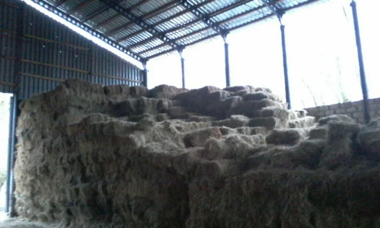 Продам солому - фото № 2