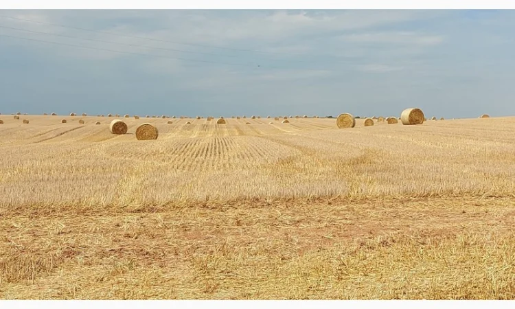 Продам солому - фото № 1
