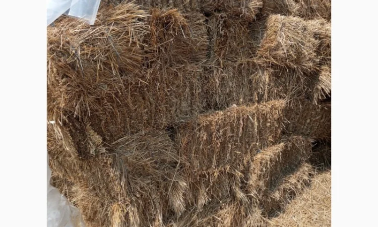 Продам солома - фото № 2