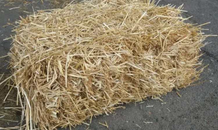 Продам солому в тюках весом - фото № 2
