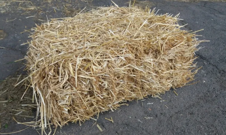 Продам солому - фото № 1