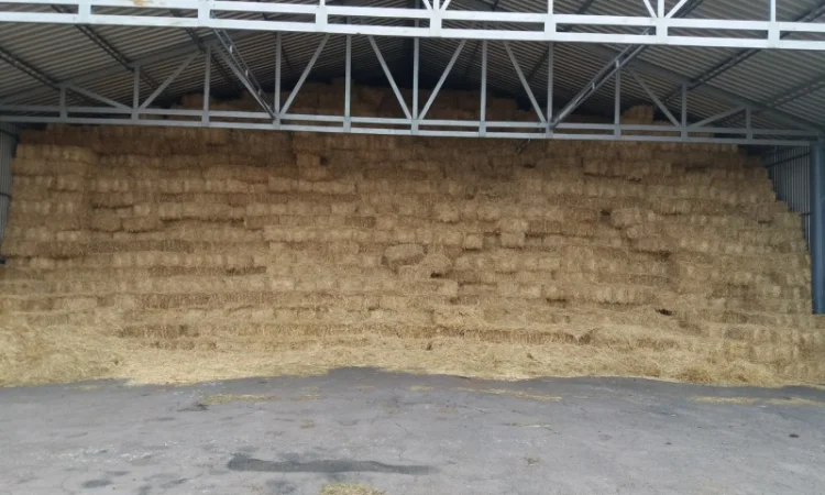 Продам солому - фото № 2