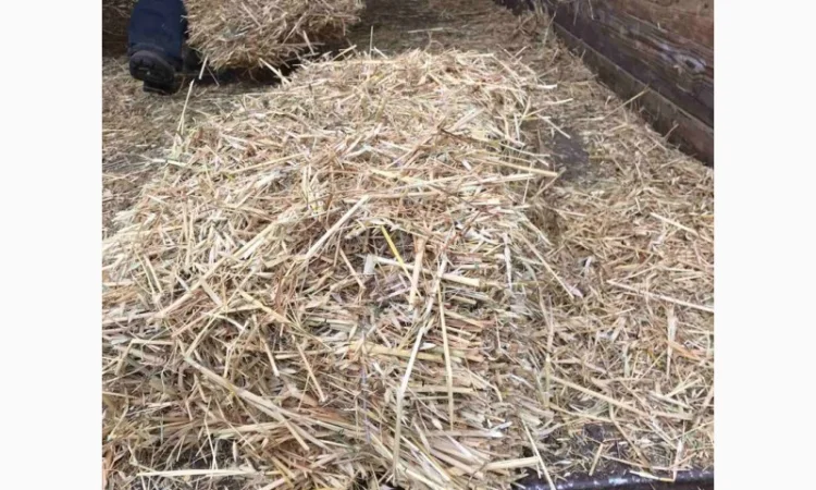 Солома тюкована для будівництва - фото № 1