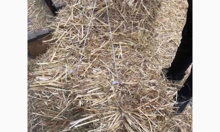 Солома тюкована для будівництва - фото № 2