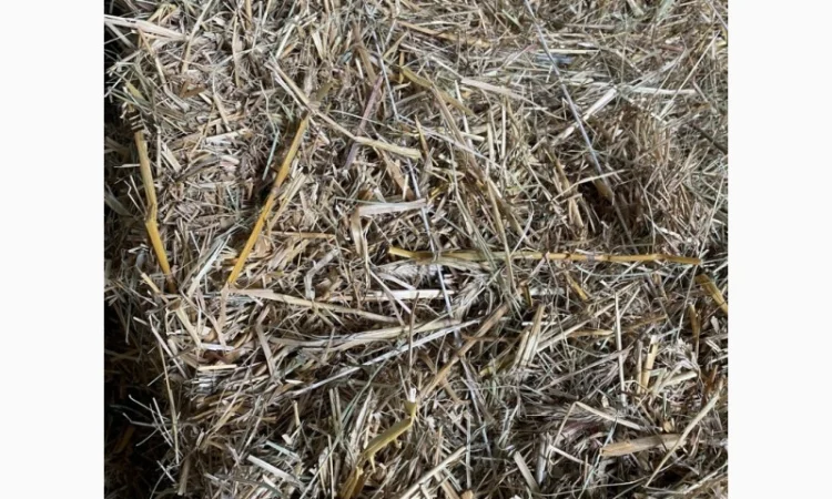 Солома тюкована для будівництва - фото № 3
