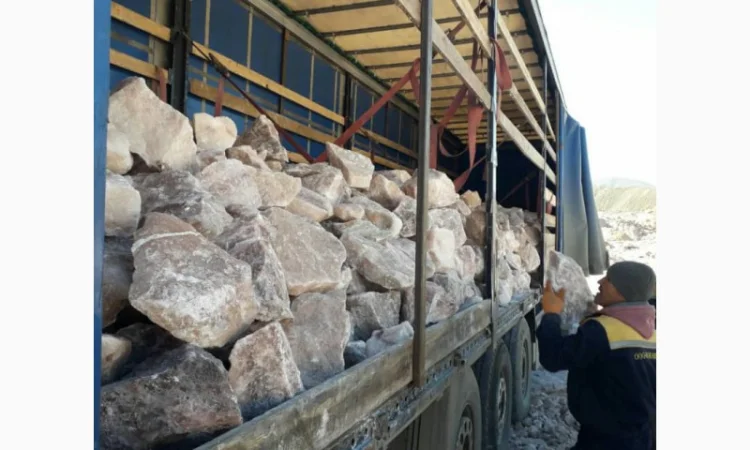 Пропонується кормова сіль для худоби від надійного постачальника - фото № 3