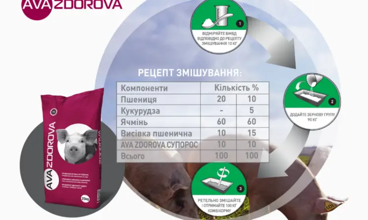 БМВД для свиноматок поросных AVA ZDOROVA (Здоровая) Супорос 10% - фото № 3