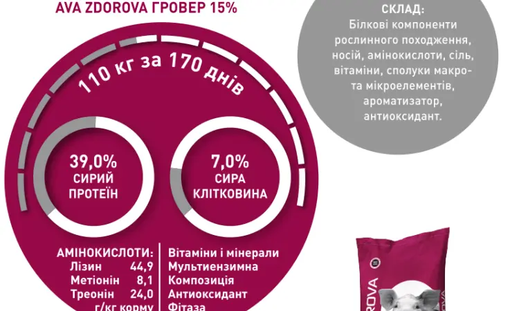 БМВД - фото № 2