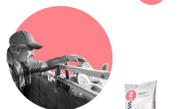 БМВД для свиней AVA UNI КОМПЛЕКС Старт Гровер Фініш. Мішок 25кг - фото № 4