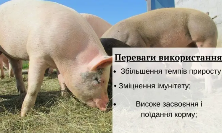 Премікс 1% для поросят старт(Швеція) - фото № 1