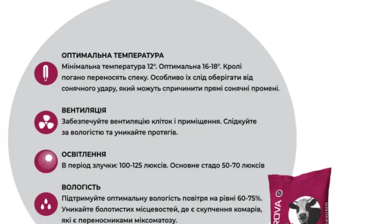 Премикс для кроликов с 20-го дня и кролематок AVA RABBIT MIX 5% - фото № 7