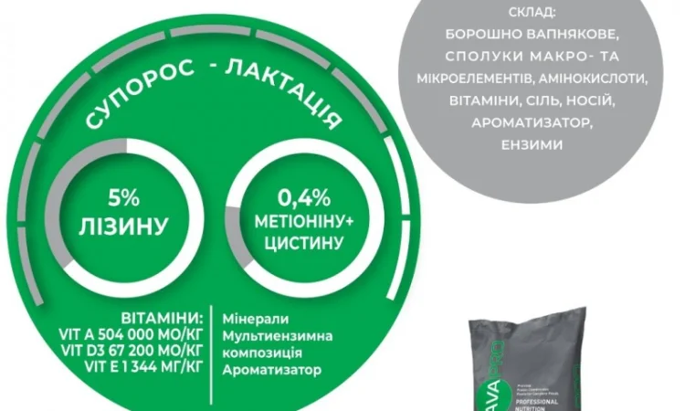 AVA PRO MIX SS/SL 3/4% - премікс для свиноматок - фото № 1