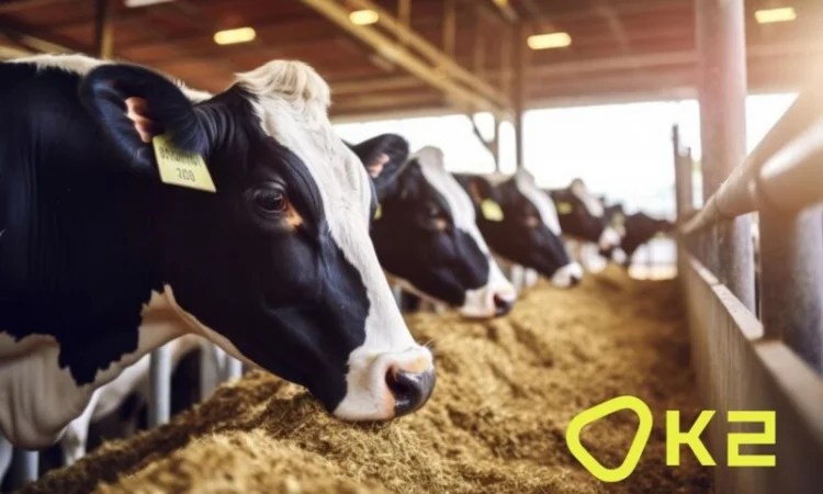 Високопротеіновий соняшниковий концентрат ХайПро - фото № 1