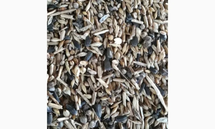 Продам зерносмесь - фото № 2