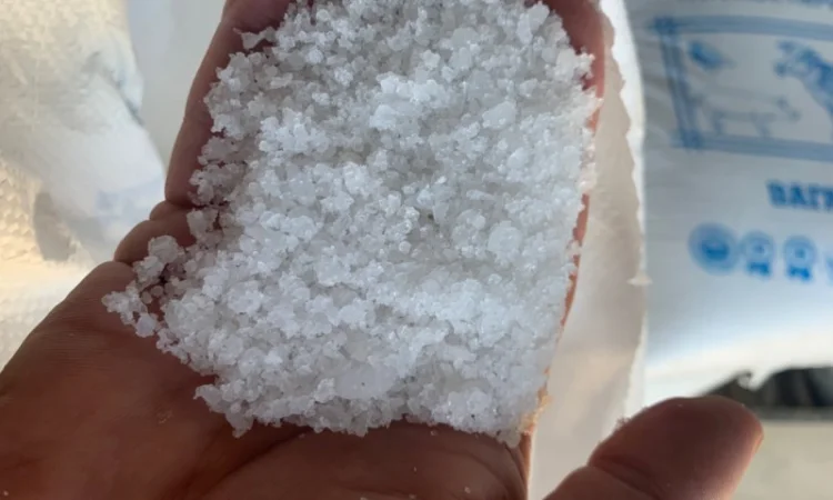 Сіль Кормова - фото № 1