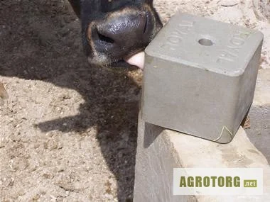 Лизунець Кальцієво-фосфорний блок Луганськ, Харків - фото № 1