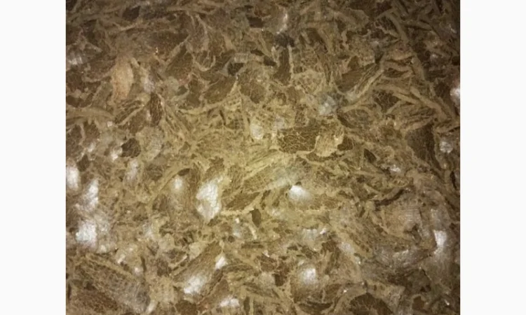 Продается жмых подсолнечника от производителя, от 100 тонн - фото № 1