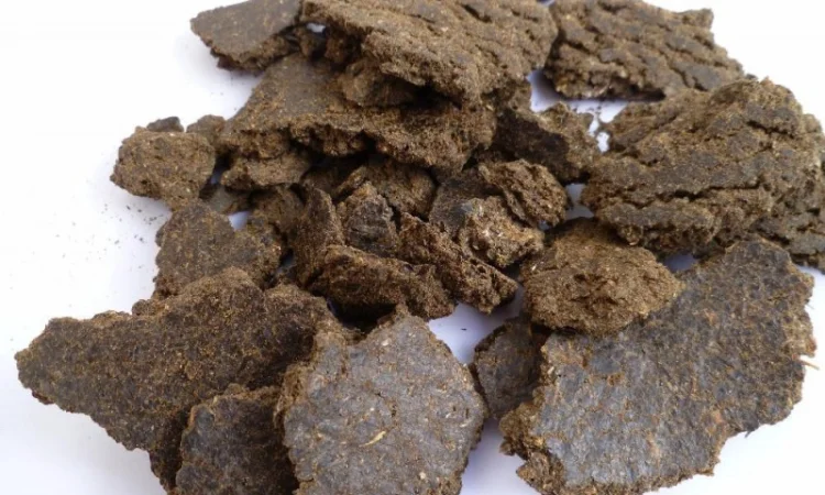 Куплю макуху соняшника для экспорта - фото № 1