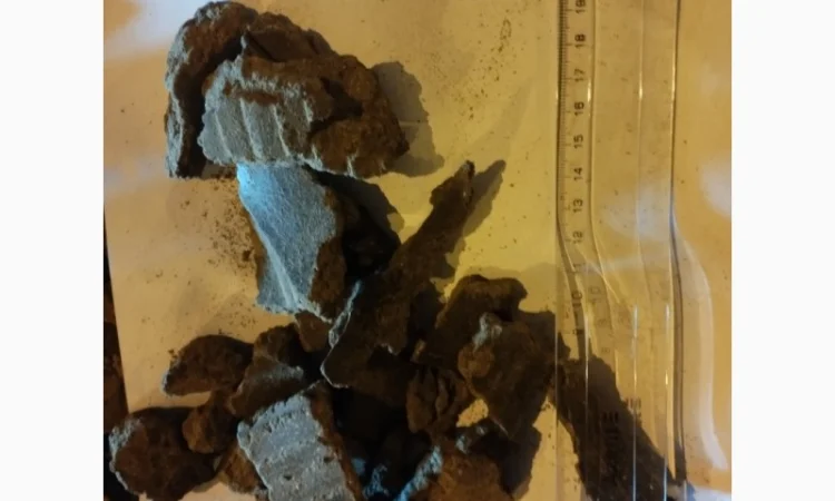 Макуха соняшника 32 - фото № 1