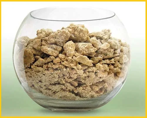 Жмых соєвий з високим вмістом протеїну та масло соєве - фото № 1