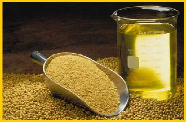 Жмых соєвий з високим вмістом протеїну та масло соєве - фото № 2