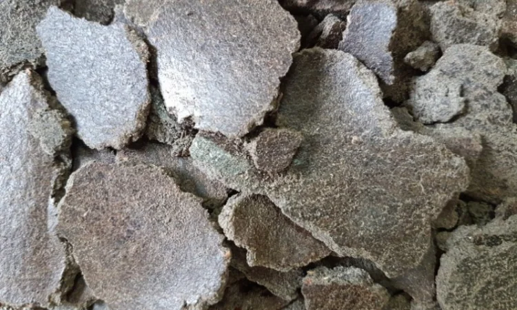 Продаємо макуху та олію соняшникову - фото № 1