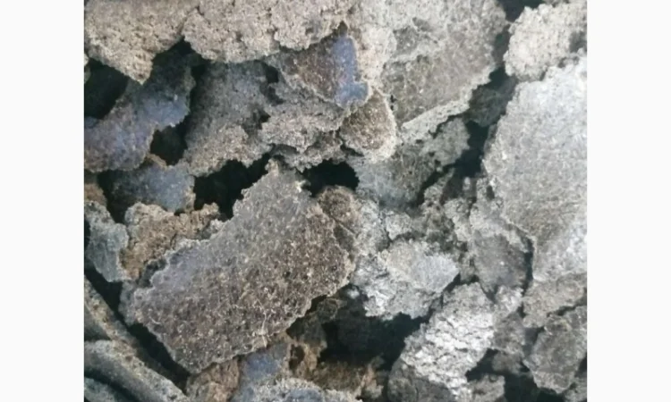 Купуємо макуху (жмих)соняшника на експорт - фото № 1