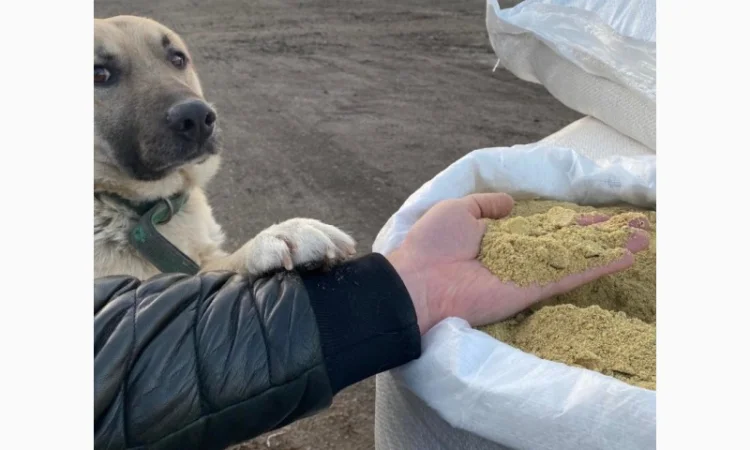 Продается соевый жмих (шрот, макуха). Доставка Новою Поштою и Укрпоштою - фото № 1